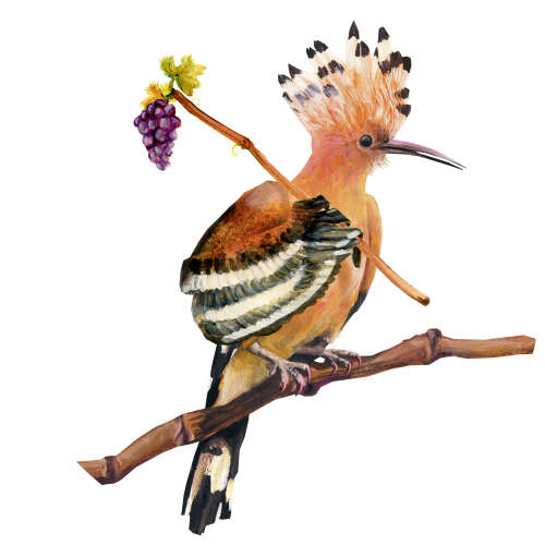Logo lieberschorli